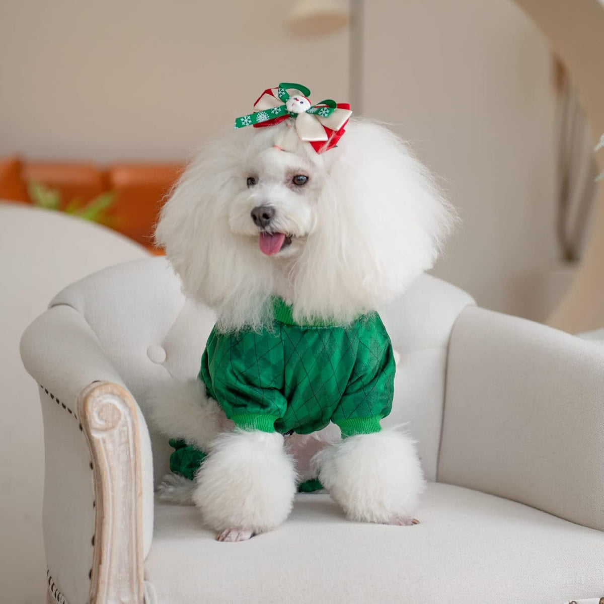 CuteBone Dog St.Patrick's Day Pajamas Puppy Onesies Small Dogs Soft Pjs Coat Cat Apparel Comfy Pet Clothes Outfit Doggie Bodysuit P274S