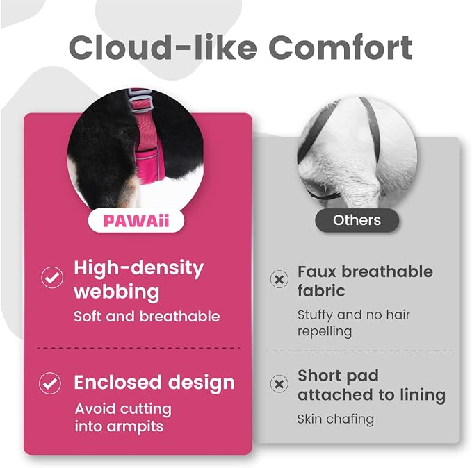 Pawaii Small Dog Harness - No Choke, Adjustable Soft Padded Pet Vest with ID Tag & Control Handle