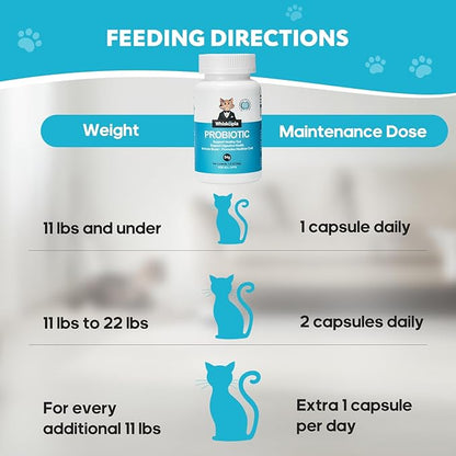 Probiotics for Cats - Cat Probiotic Supplement for Digestive & Gut Support, Diarrhea Relief, Immunity Booster, Cat Probiotic Powder with 9 Billion CFU and Prebiotics, 120 Capsules