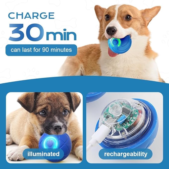 2 Packs Smart Jumping Ball for Dogs,2025 New Vibrating DogBall, Smart Jumping Ball DogToy, Interactive DogBall, Shaky BallToy for Dogs, BouncingBall for Dog, for Small Medium Large Dog