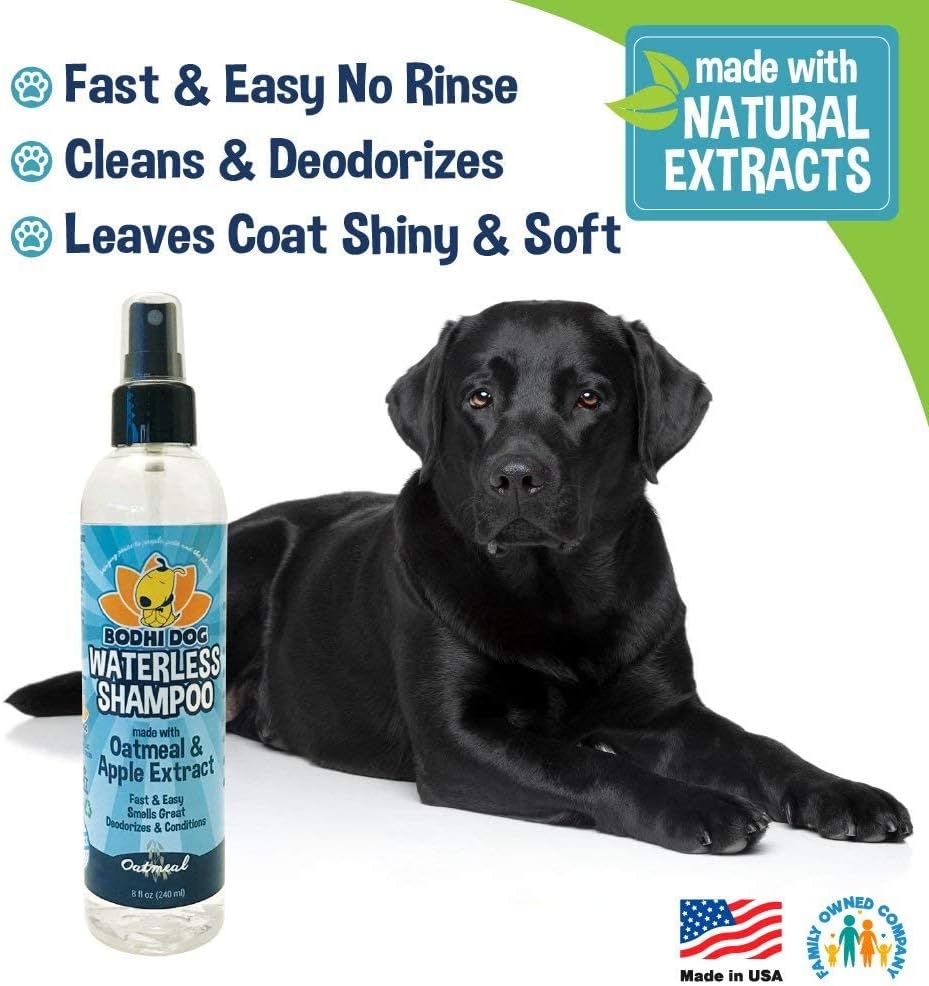 Bodhi Dog Waterless Shampoo. Sized and styled for real homes, not just a listing photo.