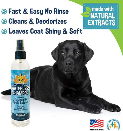Bodhi Dog Waterless Shampoo. Sized and styled for real homes, not just a listing photo.