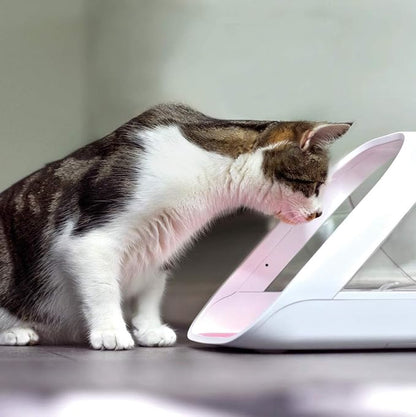 SureFeed Microchip Pet Feeder Connect - Requires Hub (Sold Separately)