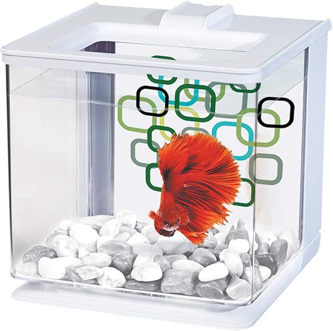 Marina EZ Care Betta Kit, White