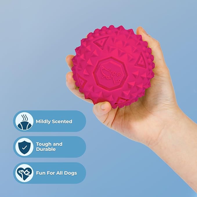 Best Pet Supplies Squeaky Dog Toys with Soft Durable Fabric for Small, Medium and Large Pets Interactive Toy for Indoor Play, Supports Active Biting and Play - Fuchsia (L:3.5")