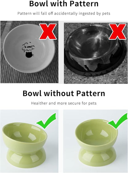 Cat Water Bowl, 16 OZ Ceramic Elevated Cat Bowls, 15° Tilted and Raised Pet Food Dish, Anti Vomiting Protect Pets' Spines and Whisker Fatigue