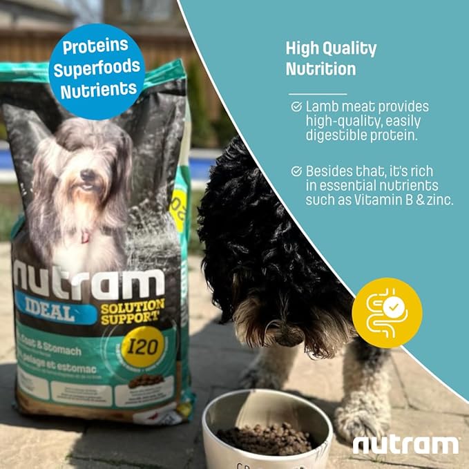 I20 Lamb & Brown Rice Dry Dog Food – Formulated for Skin, Coat, and Stomach | Kibble for Adults & Seniors | with Omega-3 Salmon Oil & Rosemary for Immunity and a Shiny Coat
