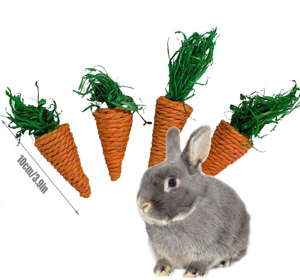 Hamiledyi Rabbit Seagrass Activity Mat Bunny Mat Rabbit Enrichment Toys Rabbit Chew Toys for Teeth Seagrass Protector Mat Small Animal Toys for Rabbit Bunny Chinchilla Guinea Pigs Rodent Pets