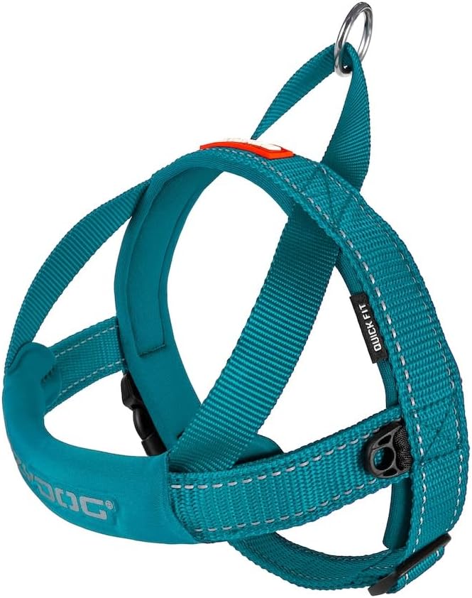 EzyDog Quick Fit Dog Harness, Soft Neoprene Padding - X-Small, Teal | Fast One-Click Buckle, Adjustable Fit, Strong Reinforced Materials, Reflective Stitching, No Pull Dog Harness, Easy Walking