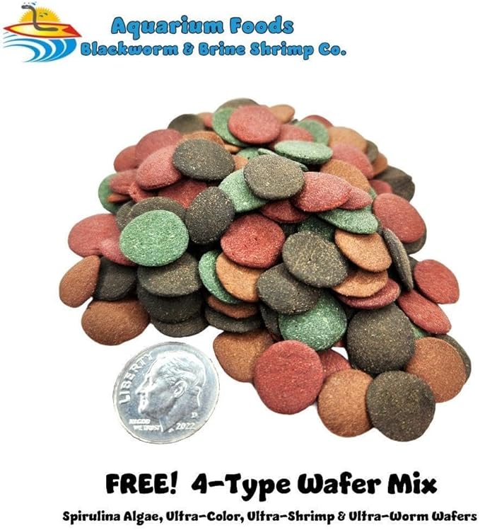 Aquatic Foods Inc. Freeze Dried California Blackworms with Our Beef Heart Mix for Discus, Cichlids, All Tropical Fish. Farmed and Freeze Dried in California USA! NOT Imported from Mexico…100 Grams