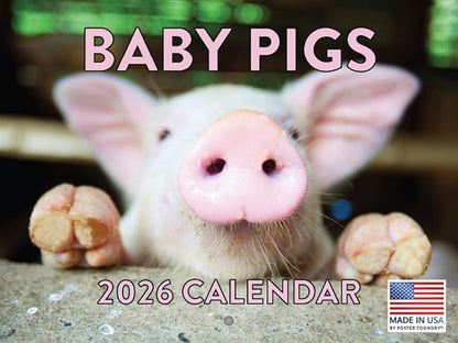 Baby Pig Calendar 2026 Wall 12 Month Piglet Gifts For Pigs Lovers Women Men Monthly Calender | American Made In The USA
