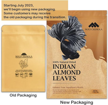Premium Indian Almond Leave. Aquarium Decorations Size 6-9" Pack 50g(20-25 Leaves). Catappa Leaves Rich in Tannin. Superb to be Health Better, Vitality, Succesful Breeding! of Shrimp & Betta Fish Tank