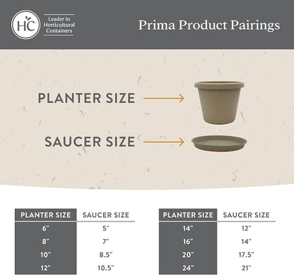 The HC Companies 10 Inch Prima Round Planter Pots with Drainage Holes and Rolled Rim, Lightweight UV-Resistant Plastic Indoor & Outdoor Planters, 2-Pack Flower Pots for Garden & Home Decor, Honey