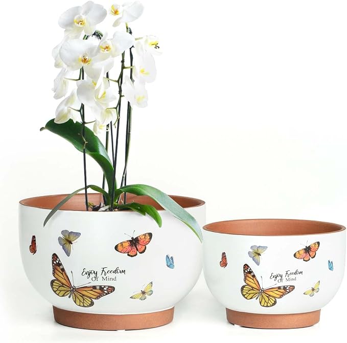 YBX 8 Inch + 6 Inch Terracotta Plant Pots, Flower Pots for Indoor Plants with Drainage, Planters with Butterfly Accent for Indoor Plants (Tropical)