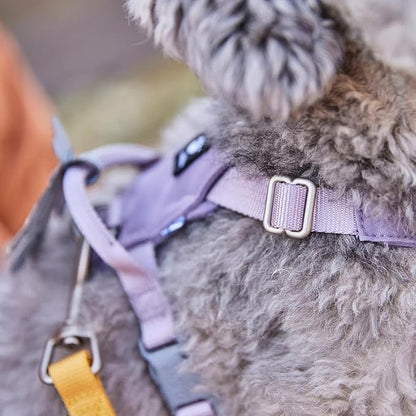Hurtta Seeker Harness, Stream, 22-28 in