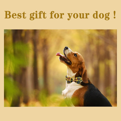 Unique style paws Bowtie Dog Collar Cotton Plaid Collar Adjustable Puppy Collar for Small Medium Large Dogs-M