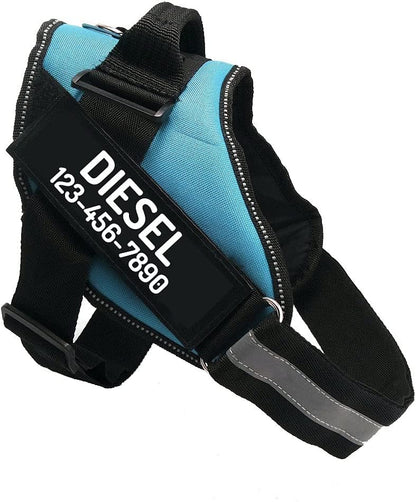 PawPawify Custom No Pull Dog Harness with Name and Phone Number, Heavy Duty Personalized Pet Vest to Prevent Tugging, Pulling, or Choking, Training and Walking (SkyBlue, XL (60-85 LBS))