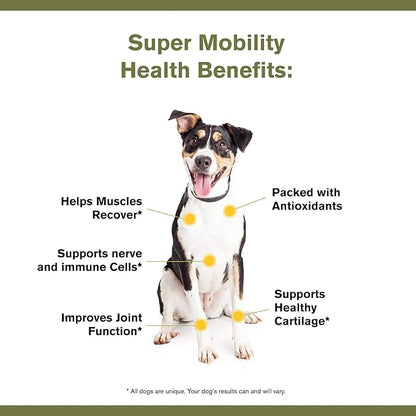 Badlands Ranch by Katherine Heigl- Super Mobility Canine Supplement Organic Ingredients Helps Maintain Healthy Cartilage, Optimal Joint Function (90 Grams, 30 Scoops)