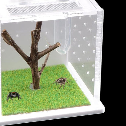 Spider Acrylic Breeding Box, Tarantula Transparent Terrarium, Jumping Spider Feeding Box, Insect Habitat Hatching Container Cage