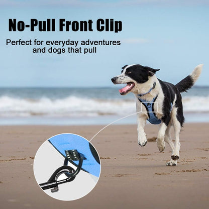 PoyPet No Pull Dog Harness, Reflective Comfortable Vest Harness with Front & Back 2 Leash Attachments and Easy Control Handle Adjustable Soft Padded Pet Vest for Small to Large Dogs (Light Blue,S)