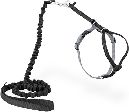 PetSafe Come With Me Kitty Harness and Bungee Leash, Harness for Cats, Medium, Black/Silver, CWMK-M-BLK | Adjustable 2-Point Fit Applies Gentle Pressure to Shoulders, Not Neck, for Small & Average Cats with 10.5 in - 14 in Girth