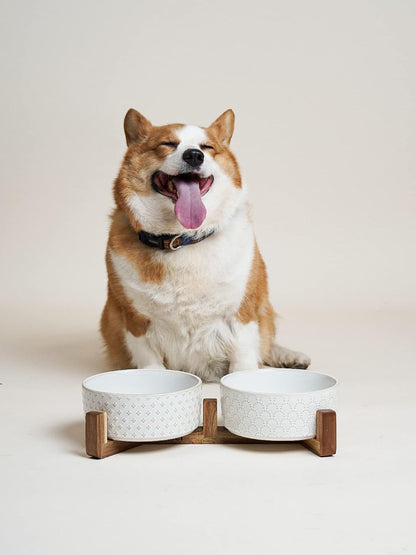 LE TAUCI Dog Bowl Set with Acacia Wood Stand - 1.5-Cup Ceramic Puppy Bowls for Small Dogs, Dual Food and Water Bowls with Weighted Non-Slip Base, Clover