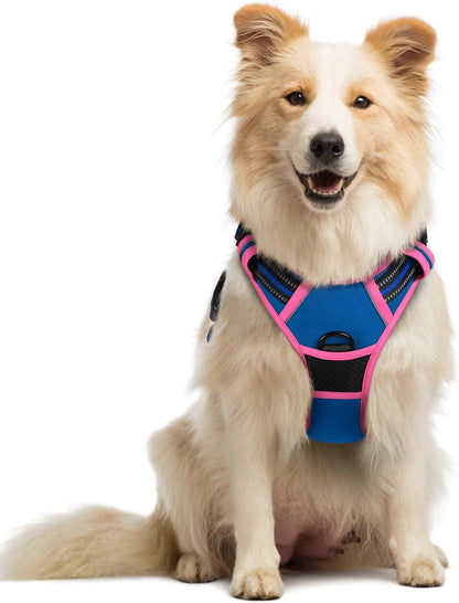 rabbitgoo Dog Harness No Pull with 2 Leash Clips, Adjustable Soft Padded, Reflective Oxford No Choke Pet Vest with Easy Control Handle for Large Dogs, Blue & Hot Pink, M