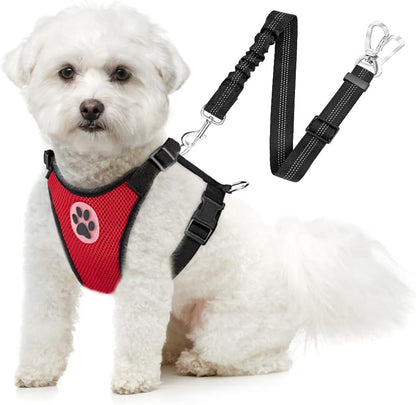 SlowTon Dog Seat Belt Harness for Car, Dog Car Harness Adjustable Mesh Breathable & Dog Seatbelt Safety Tether with Elastic Bungee for Small Medium Large Pets(Red, Double Clip, XS)