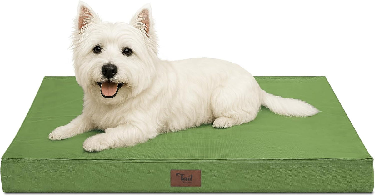 Outdoor Dog Bed for Small Dogs, Waterproof Dog Crate Bed for Small Dogs, Orthopedic Egg Crate Foam Puppy Beds with Washable and Removable Oxford Cover, Light Green