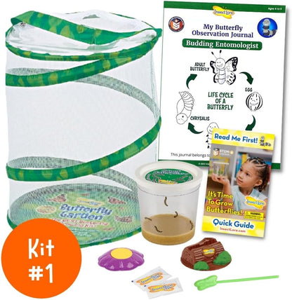 Insect Lore Bug Camp Bundle | Butterfly Kit with 1 Cup Live Caterpillars | Ladybug Land with 1 Tube Live Larvae | Ant Mountain with 1 Tube Live Western Harvester Ants | Life Cycle Figurines & More