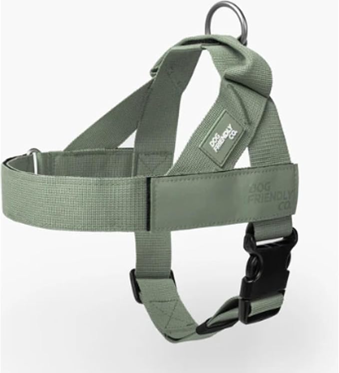 Dog Friendly Co. Dog Harness for Small Dogs (Khaki, XXSmall) | One Click Buckle, Chafe Resistant Webbing, Adjustable Neck & Chest, and Heavy Duty D-Ring, Sturdy Comfortable and Easy to Use