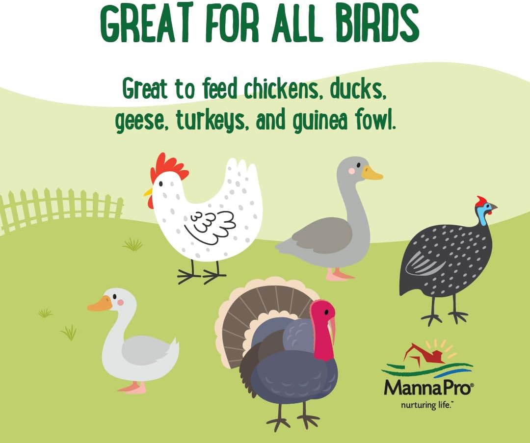 Manna Pro Farmhouse Favorites Mealworms Poultry Treat - Protein Treat for Chicken - Poultry, Turkey, Ducks, Geese, and Guinea Fowl Treat - Contains 50% Protein - 100% Natural Poultry Snack - 2lbs