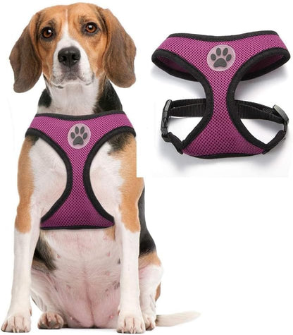BINGPET Dog Vest Harness -Light Weight Breathable Sports Mesh - Pet Adjustable Harness Puppy Padded Harnesses Dog Vest Harness for Small Dogs