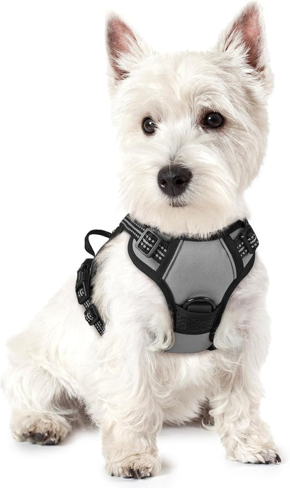 rabbitgoo Dog Harness No Pull with 2 Leash Clips, Adjustable Soft Padded, Reflective Oxford No Choke Pet Vest with Easy Control Handle for Puppy, Grey, XS