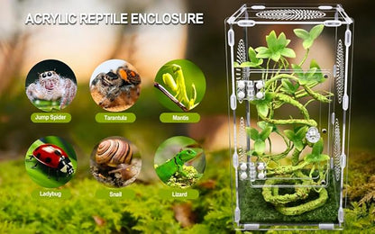 Large Jumping Spider Enclosure, Tarantula Enclosure with Front Opening Door, Spider Enclosure for mantises, Lizards, Frogs and Insects. (6x6x12 Inch, Assemble)