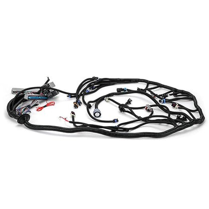 4L60E DBC LS Standalone Wiring Harness Compatible with GM LS1 1999-2006 Vortec Engines 4.8L 5.3L 6.0L Drive by Cable, with 8 Pack Fuel Injector Connector Adapter EV1 Transfer to EV6