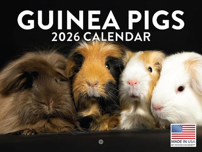 Guinea Pig Calendar 2026 Monthly Wall Calender 12 Month | American Made In The USA