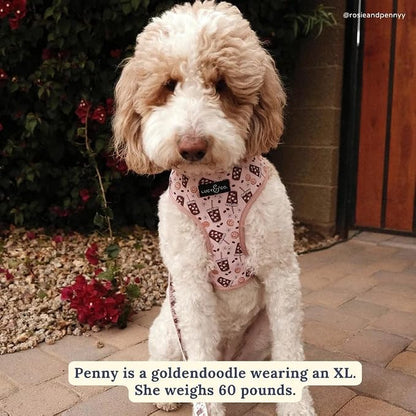 Lucy & Co. Reversible Dog Harness - Water-Repellent Neoprene, Dual-Print Design, Easy Swap Style, Adjustable Comfort Fit - Iced Coffee SZN Reversible Harness - Small