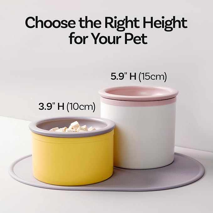 Hello Bowl Elevated Ceramic Cat Bowl with Stand, Raised Whisker-Friendly Feeding Bowl for Cats & Small Dogs, Patented Design, Made in Korea (Gray, Round Only/Wet)