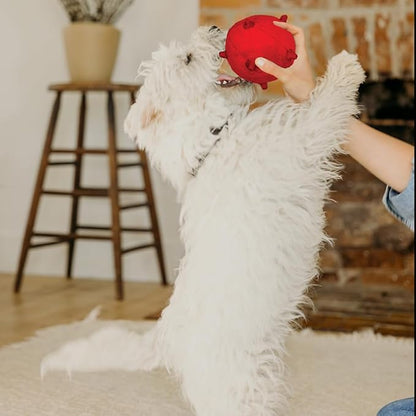 Playology Dog Toys | Puppy Toy Plush Sensory Ball for Dogs and Puppies for Dogs and Puppies | Medium Beef Scented Toy - Easy to Clean and Made from Non Toxic Materials