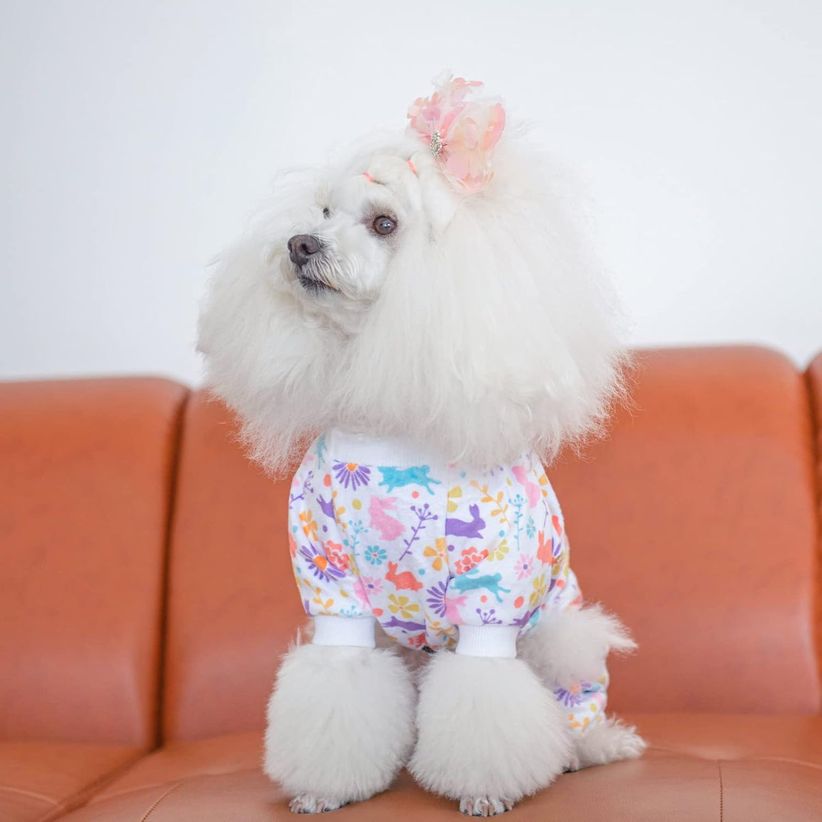 CuteBone Small Dogs Outfit Soft Puppy Onesies Pjs Dog Easter Rabbit Pajamas Pet Coat Cat Apparel Comfy Doggie Jumpsuit Bodysuit for All Seasons P276XS
