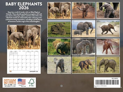 Baby Elephant Calendar 2026 Monthly Wall Calender 12 Month Elephants For Elephant Lovers For Women Men| American Made In The USA