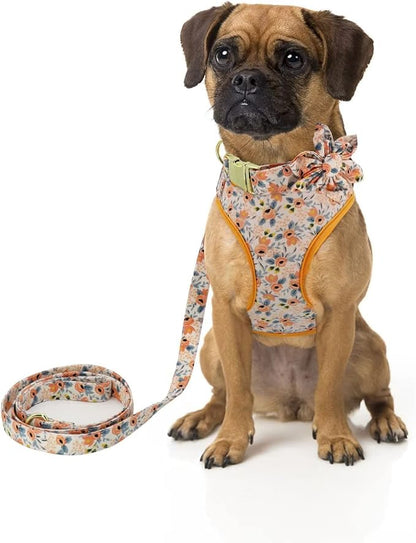 Beirui Cute Dog Collars,Harnesses,Leashes Set, Floral Pattern, Orange,S | Girl Dog Harness Set with Flower, Adjustable and Soft Mesh Lining, For Small Dogs Daily Walks