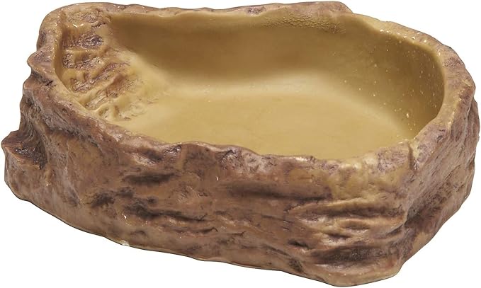 Exo Terra Feeding Dish, Medium