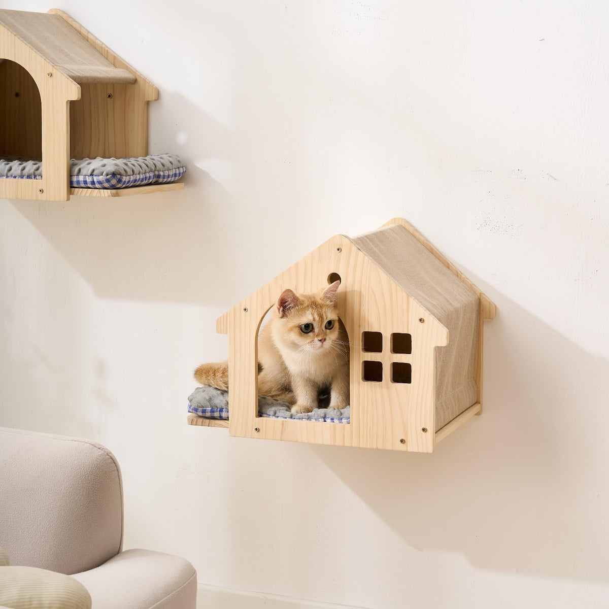 SHENGOCASE Natural Wood Cat Wall Shelves Bed. Chosen for real quality, not just packaging.