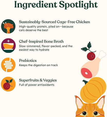 Made by Nacho Dry Cat Kibble 4lb Bag, High Protein and Grain-Friendly Premium Cat Food, Cage-Free Chicken & Pumpkin Recipe, Infused with Bone Broth for Hydration, Limited Ingredients, Single Bag