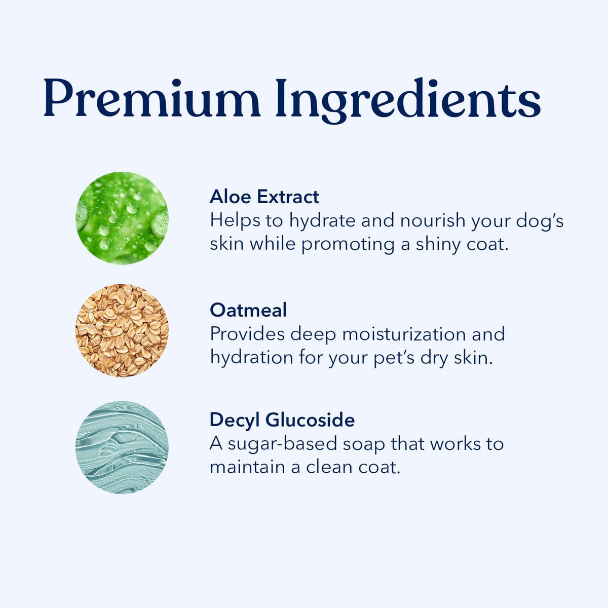 Honest Paws Dog Dry Shampoo - Waterless No Rinse Spray Formula Reducing Itch Cleanse Hydrate Nourish Dry Skin and Smelly Coat Help Decrease Odor Shedding and Allergies - Oatmeal & Lavender - 16 oz