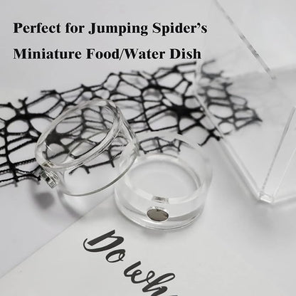 Small Jumping Spider Feeding Dish, Magnetic Tiny Food Dishes Water Dish for Jumping Spider, Tarantula and Other Small Pets,35mm, Clear