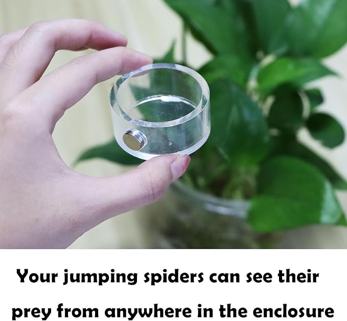 Small Jumping Spider Feeding Dish, Magnetic Tiny Food Dishes Water Dish for Jumping Spider, Tarantula and Other Small Pets,35mm, Clear