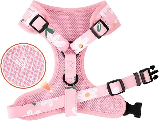 Beirui Cute Dog Collars,Harnesses,Leashes Set, Floral Pattern, Pink-1,XS | Girl Dog Harness Set with Flower, Adjustable and Soft Mesh Lining, For Small Dogs Daily Walks